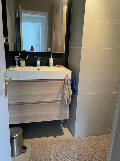 Appartement A 150M Du Lac- Plage De L'Imperial アヌシー エクステリア 写真