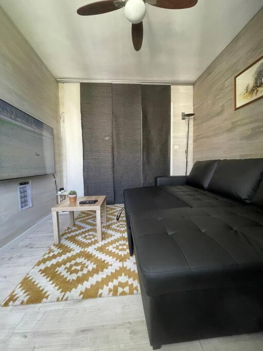 Appartement A 150M Du Lac- Plage De L'Imperial アヌシー エクステリア 写真